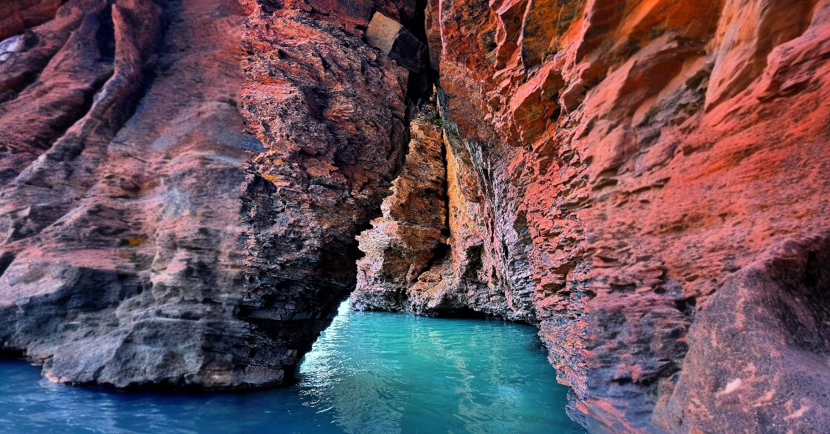 Debrigarh Nature Camp Forest Environment